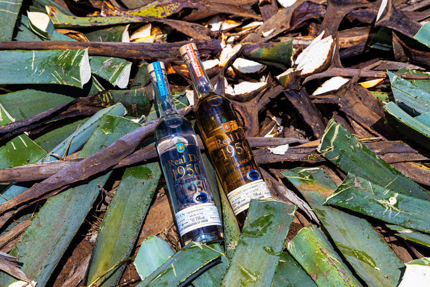 The Bottle House liquor, Now Sells Real De 1950 Mezcal